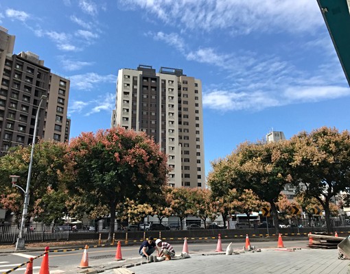 愛姐の文心森林捷運站❤️大墩路向上路一段 - Image 11