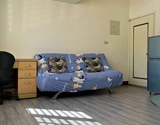 超大窗_陽光樓中樓_近縣府挑高4.3米 - Image 5