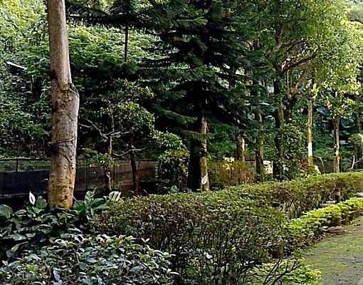 好房出租,好房,好房 - Image 14