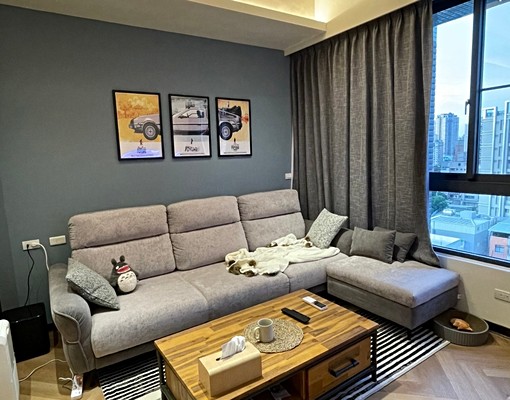 桃園區|中路特區|雲世代|兩房舒適設計貓咪友善 - Image 2