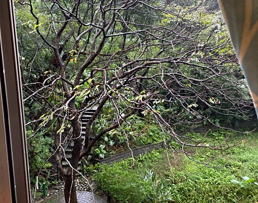 舒適雅房社區華夏,近中央研究院 - Image 3