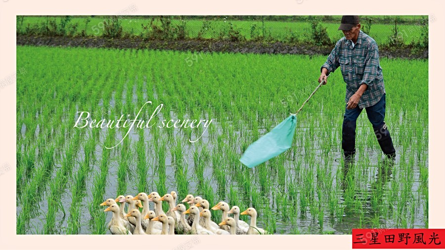 勁賀(透天區)環境圖