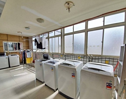 近蘆洲捷運站電梯大套房專用洗衣機貓咪友善 - Image 9