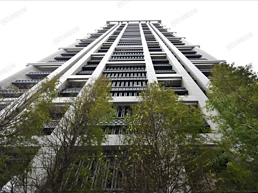 首泰信義實景圖