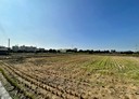 霧峰區-丁台路土地，202.2坪