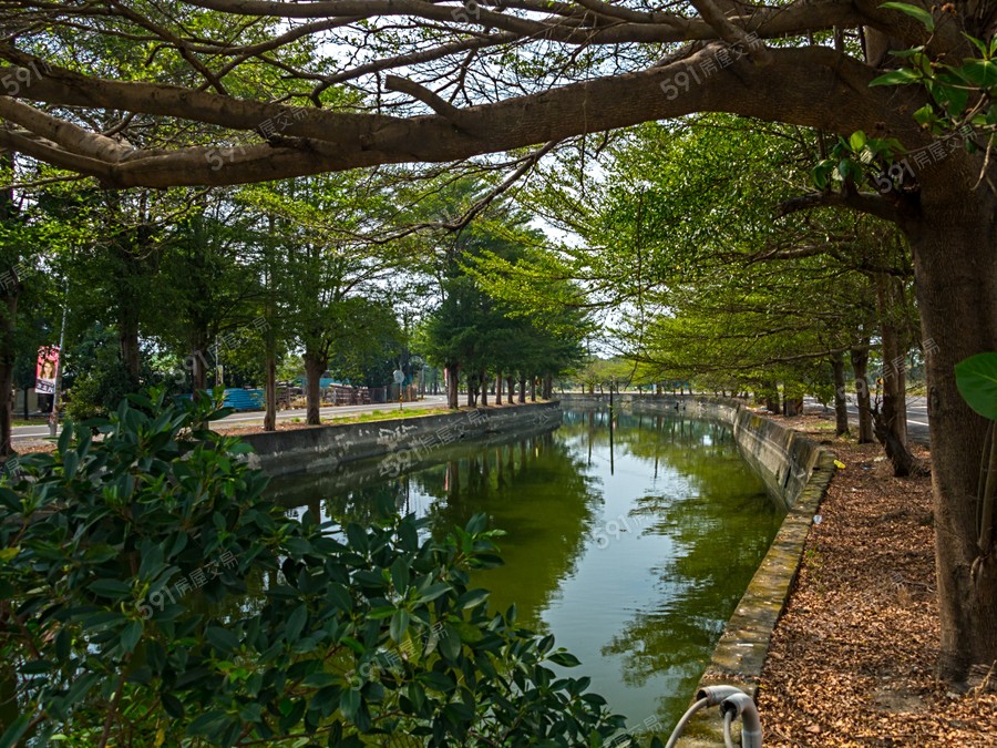 皇家海悅-透天環境圖