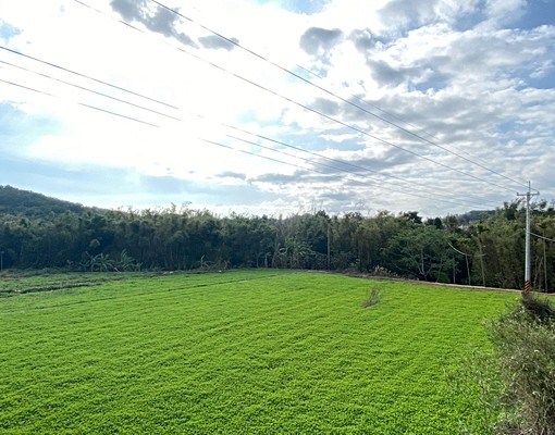 苗栗縣通霄農舍出租 - Image 3