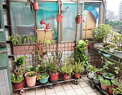 松江路雅房•頂樓花園只住2戶•限女包水電 - Image 13