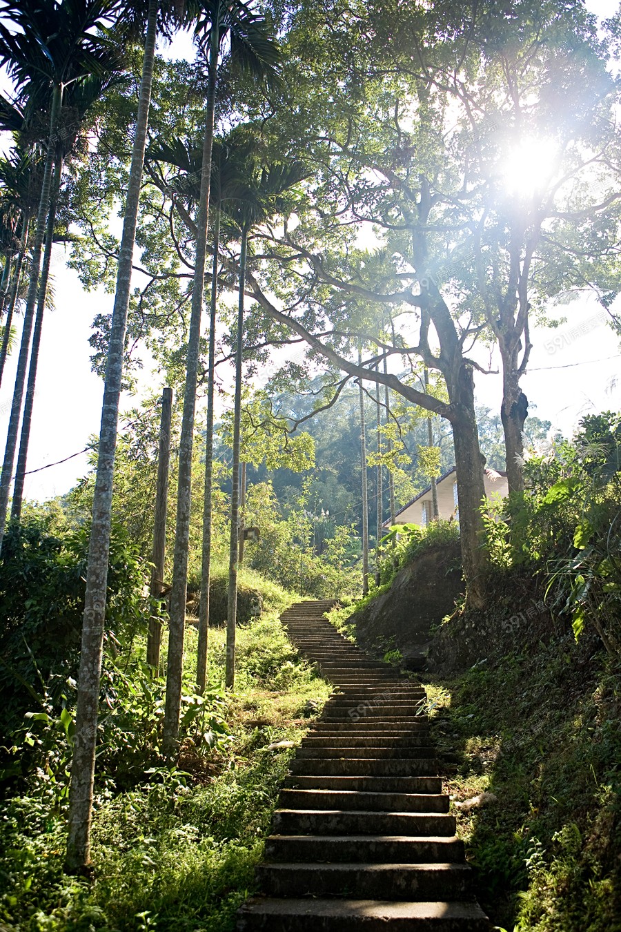 清崧華城逸品琚環境圖