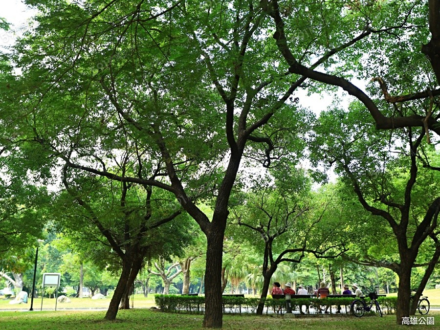 和築親親環境圖