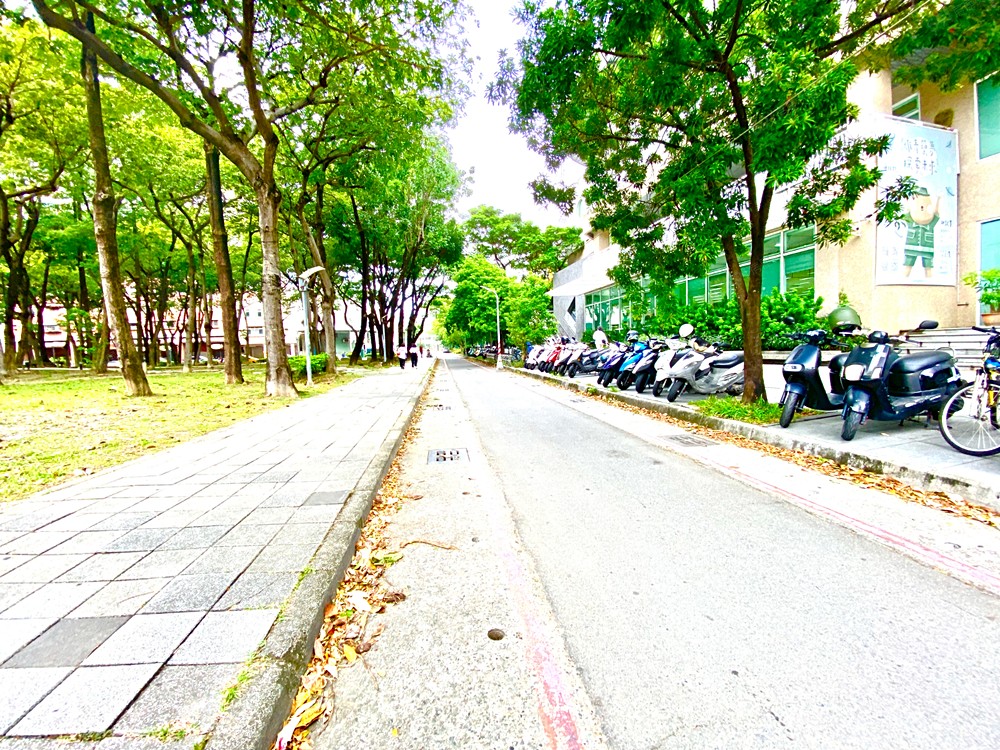 照片