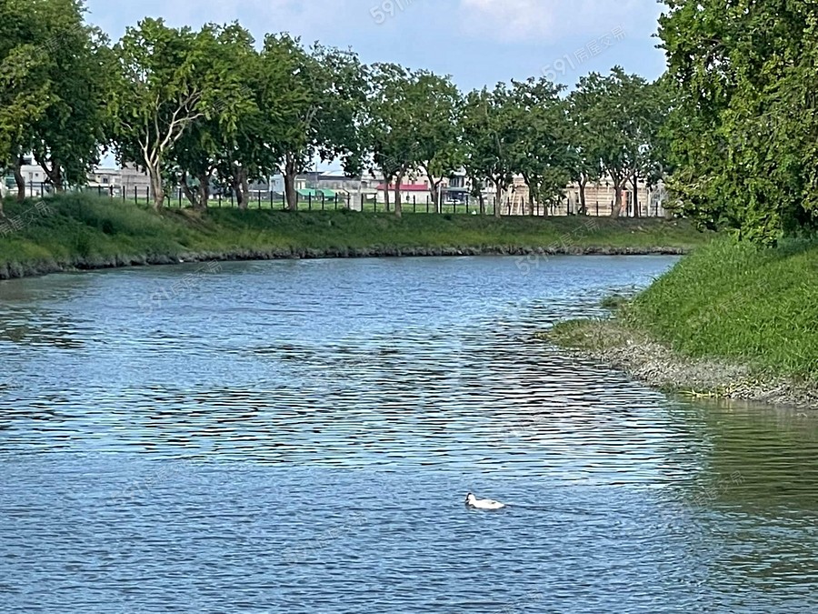 征泰大吉 NO.5環境圖