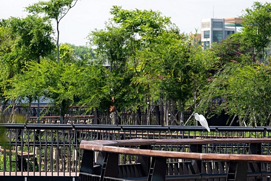 十四期仁平段，綠覆森活