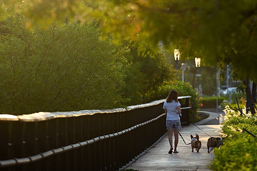兩萬坪公園軸線，繁華轉身靜境