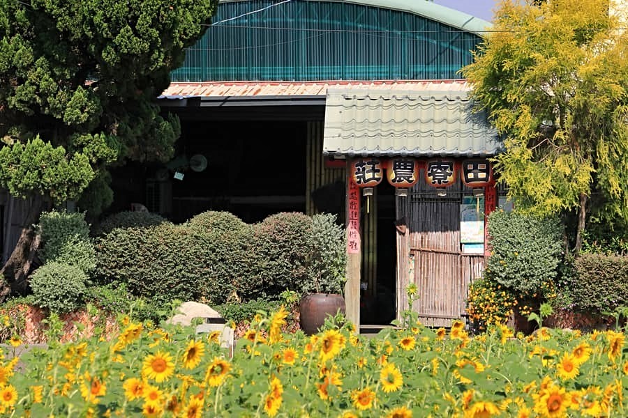 楓樹特區知名的「田寮農莊」