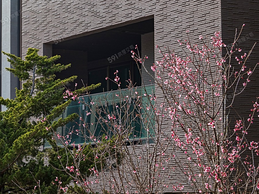 石門掬月實景圖