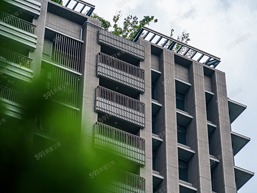 敦南仰望實景圖