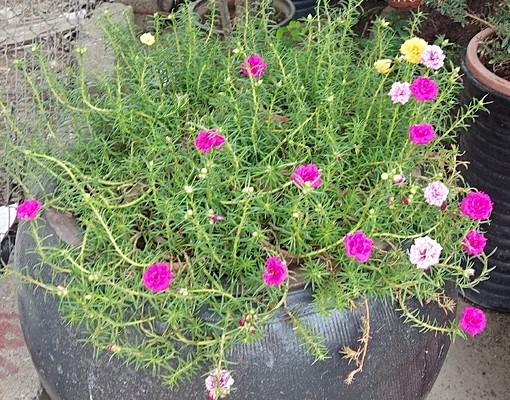 南科全新透天花園別墅.停車棚.個人洗衣機 - Image 4