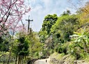 大湖鄉-大湖段土地，4602.2坪