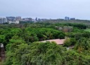 楠梓區-德民路3房2廳，38.6坪