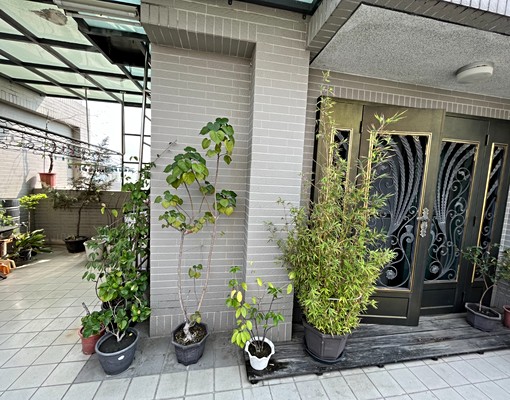 華鳳特區雅房出租(近正修,長庚,澄清湖,寧靜、舒適、安全) - Image 14