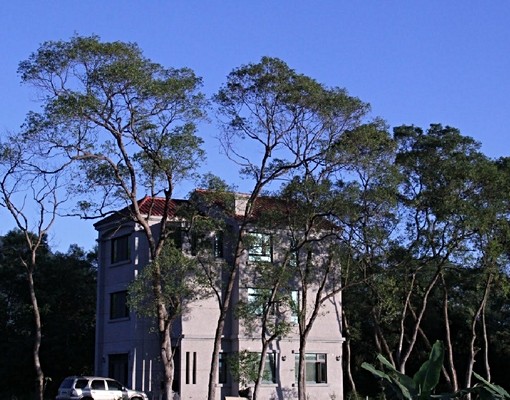 窗外綠樹，三樓安靜套房，近東華 - Image 1