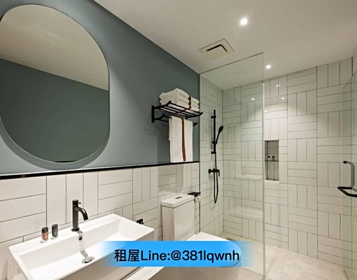 西屯✨陽台獨洗✨秒殺正一房可寵✨可租補 - Image 5