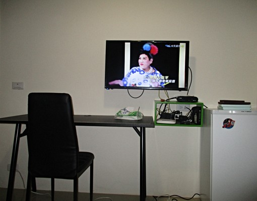 可租補寵貓乾淨安靜單純 - Image 8