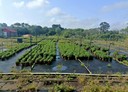 楊梅區-幼獅路二段土地，1100坪