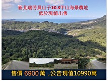 員山子路綠能農地無敵海景10..