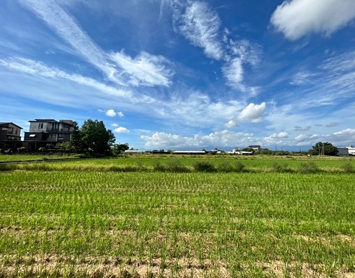 🌴21詠樂🌴宜市振興堆肥豬舍要出租 - Image 2