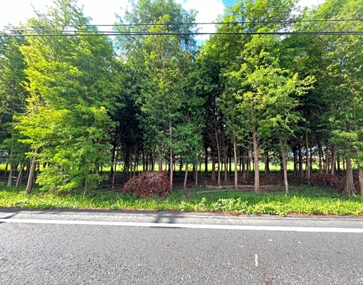 🌴21詠樂🌴宜市振興堆肥豬舍要出租 - Image 1