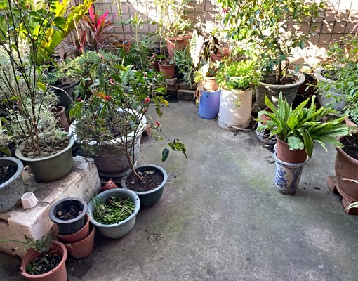 興大綠園道|有電梯|消防設備|餐飲交通便利|獨立衛浴套房 - Image 13