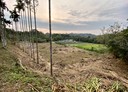 頭屋鄉-曲洞村土地，1076.9坪