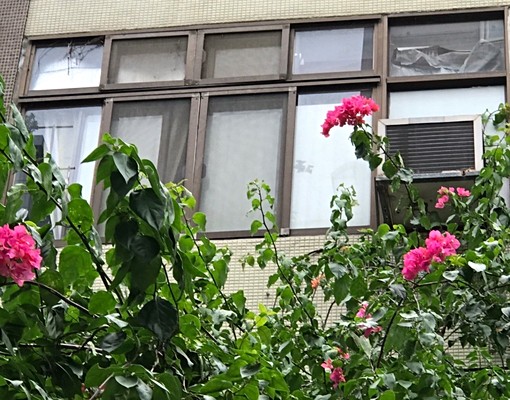 大安森林科技大樓台師大磚牆專衛浴優大套房 - Image 6