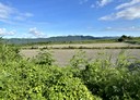 壽豐鄉-中正路土地，1029.7坪
