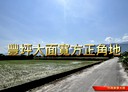 壽豐鄉-大坪段土地，1585.2坪