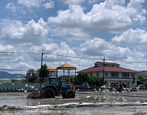 美濃吉洋民宿風格全新套雅房出租 - Image 2