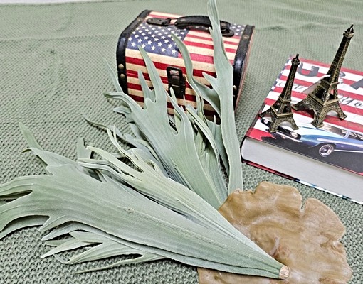 優質舒適大套房,歡迎回家。 - Image 13