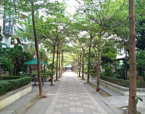 電梯華廈頂加,陽光大庭院 - Image 1