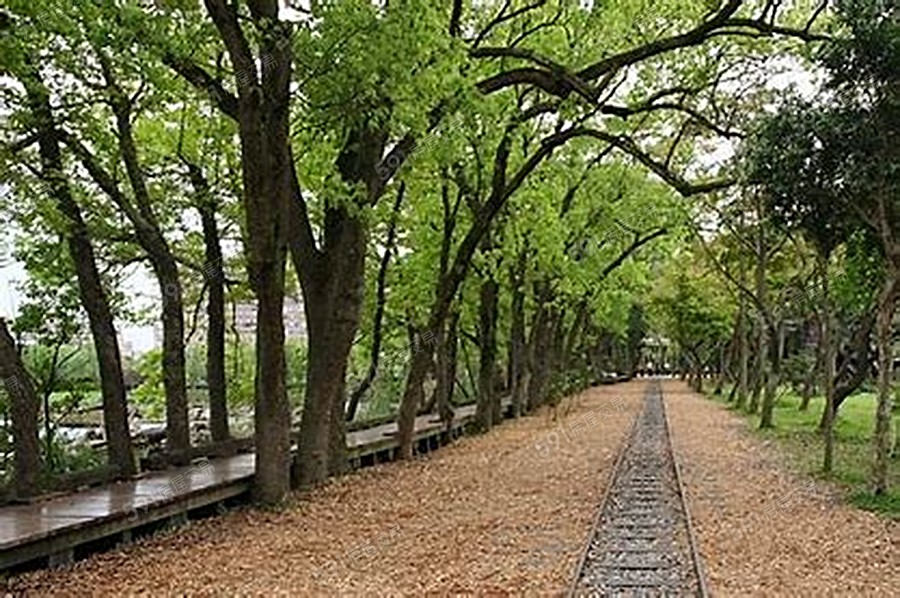 築林城家環境圖