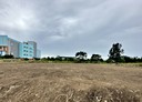 觀音區-信義路土地，604坪