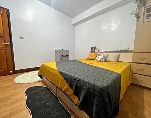 南台96貓寵租補六合夜市近美麗島📞愛窩 - Image 2