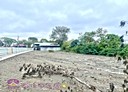 秀水鄉-番花路土地，393.3坪