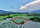 壽豐鄉-大坪段土地，2475.9坪