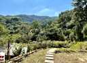關西鎮-上橫坑土地，434.2坪