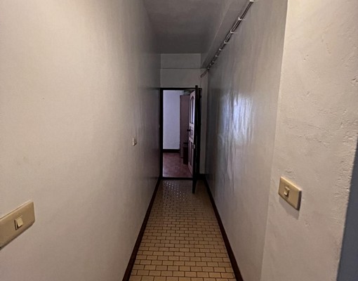 南台96貓寵租補六合夜市近美麗島📞愛窩 - Image 6