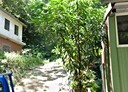泰山區-大科路土地，4164.5坪