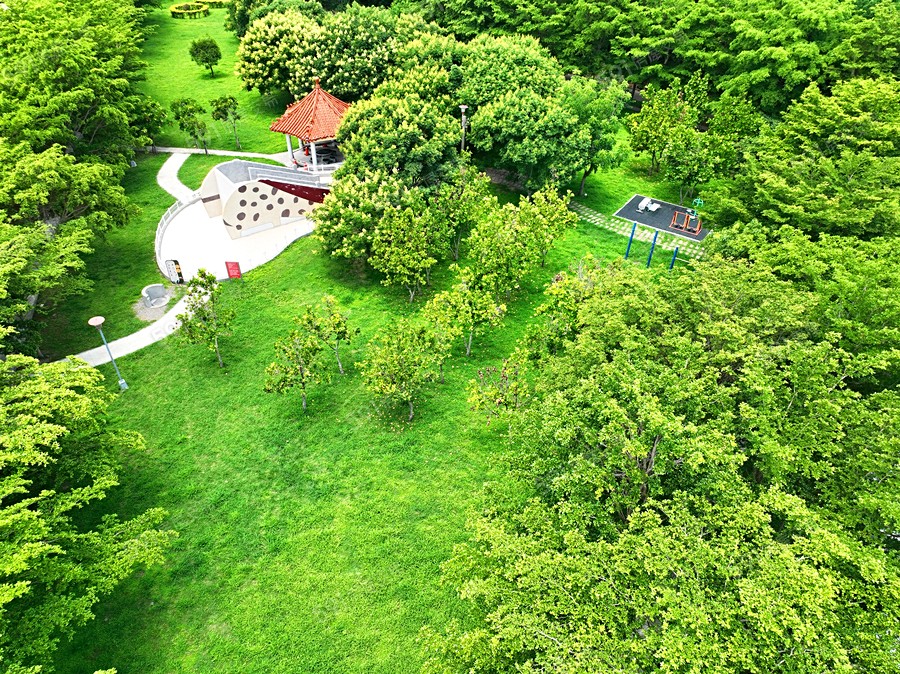 巨匠傳承2-華廈環境圖