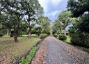 高樹鄉-沿山公路二段土地，11374坪